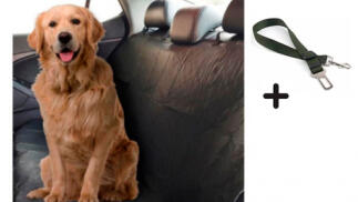 Funda protectora y cinturón de coche para mascotas